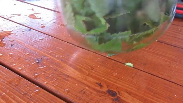 Чай для дачи | Завариваем чай в жару смотреть онлайн