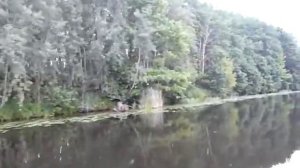 Yamaha Yam S380 + Yamaha F15AMH