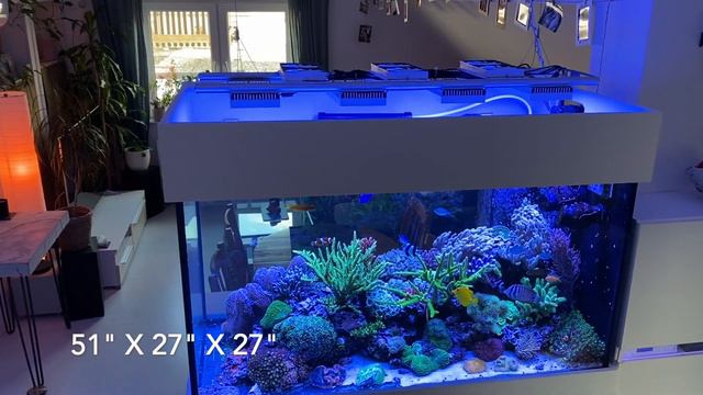 REEF TANK UPDATE - the technical reef aquarium rescape corals