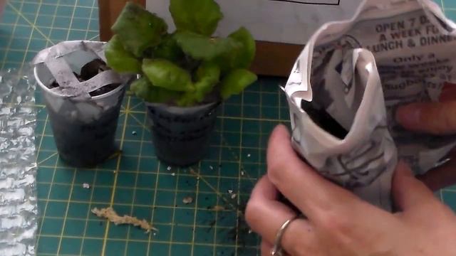 Посылка с фиалками от Маши. Package From Masha with New Violets смотреть онлайн