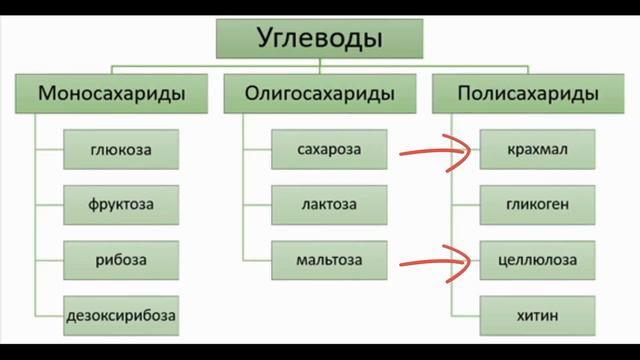 Виды сахара