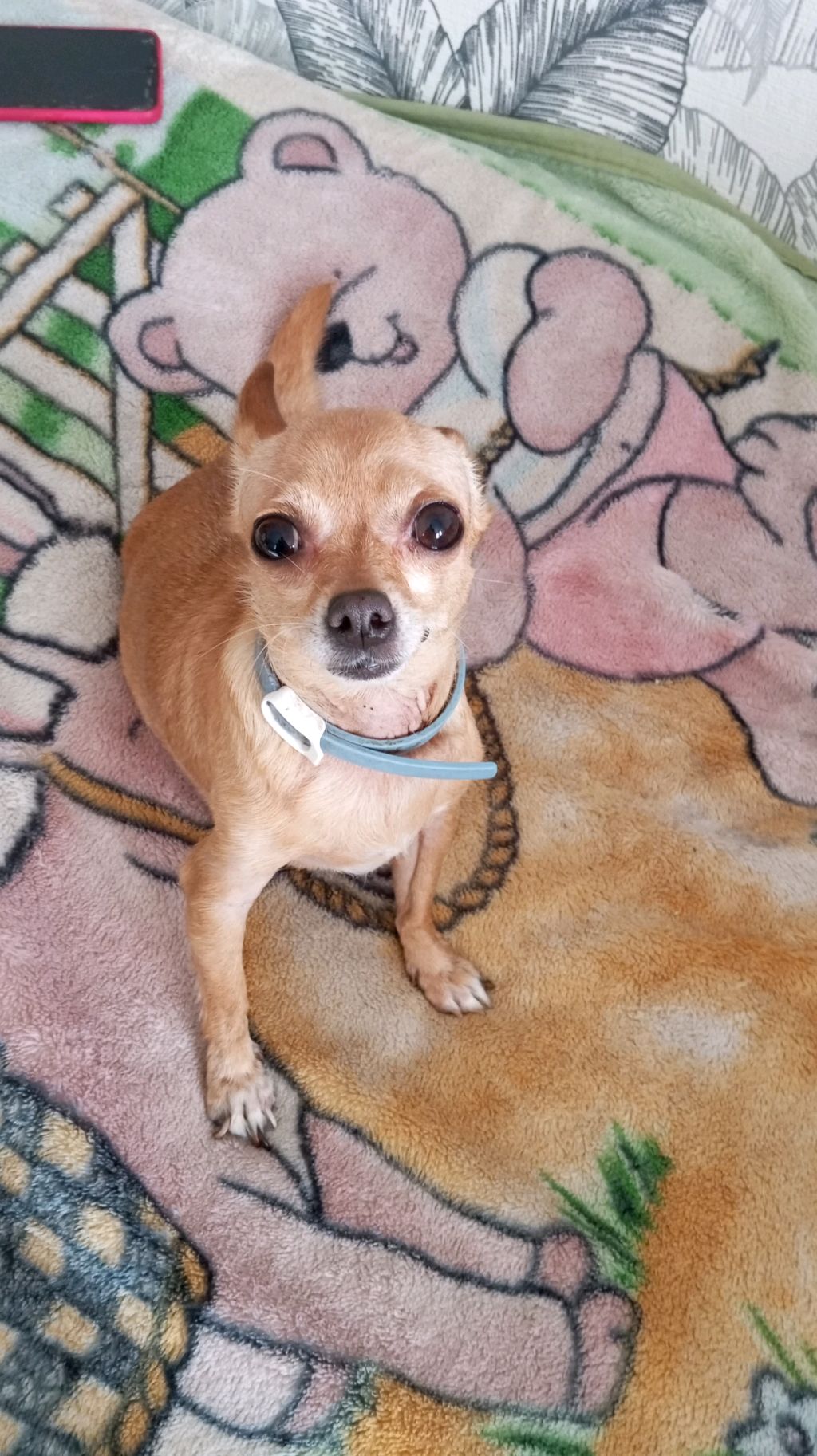 бум бум смотреть онлайн