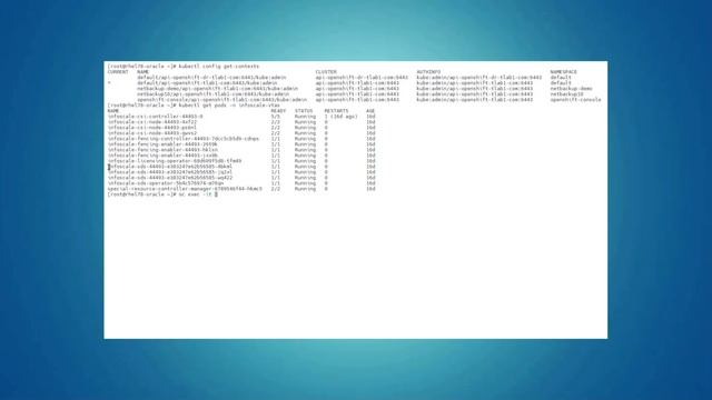 Veritas Enterprise Storage and Data Protection for Kubernetes: InfoScale