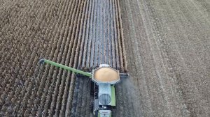 **NEW** Claas Lexion 8700TT Minnesota Corn