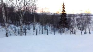 У черного моря в цветущих акациях город.