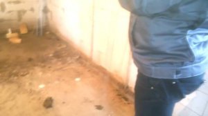 Крепление маяков для стяжки полов (в т.ч. мозаичных полов)