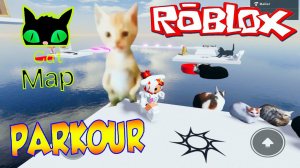 Ксюша сделала CAT Карту Паркур в ROBLOX ....