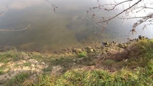 Мощная катушка для рыбалки с рогаткой. Охота на Сазана.