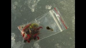 Зима окунь и плотва на мохнатые мормышки