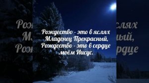 Рождество не про то, как нам дорог семейный уют - христианская песня.Василий Перебиковский с детьми