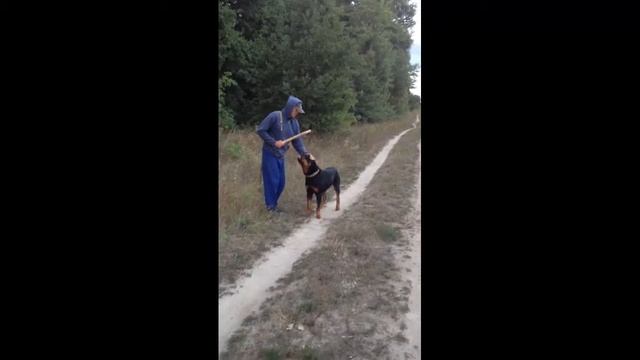 Команда АППОРТ смотреть онлайн