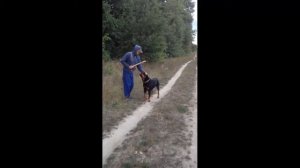 Команда АППОРТ