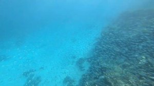 Happy Live Village Dahab House Reef