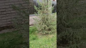 обшивка поликарбонатом забора