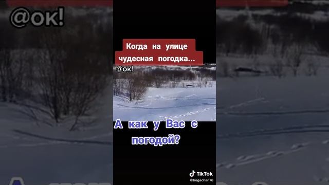 Юмор 4 2023