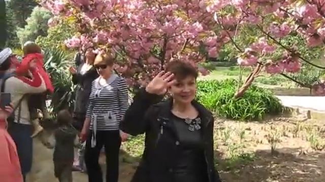 Вот так в Крыму цветет сакура смотреть онлайн