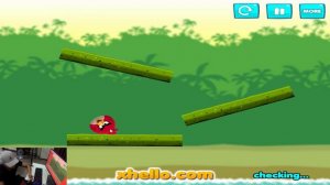 Angry Birds Kick Piggies - MAD PIGGIES KICK ALL SQUARE BIRDS AND RECTANGLE STELLA LEVEL!