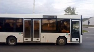 Витебск. Автобусы МАЗ-206/226