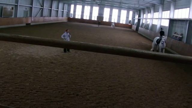 Швецова Женя (Каприоль)-1 Семинар Натальи Карпиной 29.11.14. Н.Новгород КСК Пассаж смотреть онлайн