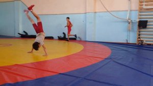 Рандат + Сальто /Греко - римская борьба /Донгарон/Достойное поколение?/