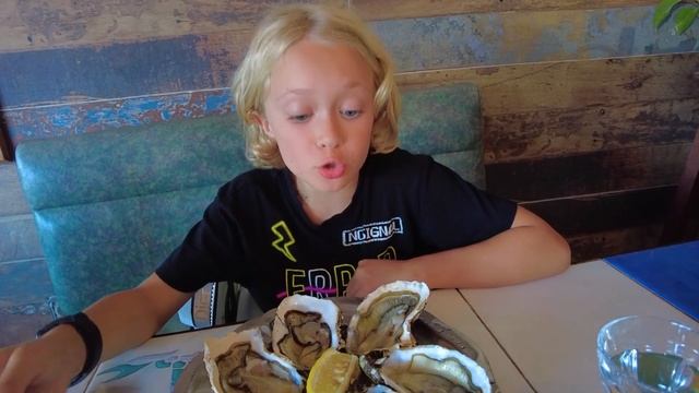 Путешествие по Франции на машине: устрицы и соляная ферма. Едем на самый юг франции.