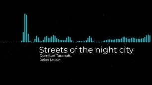 Streets of the night city (Domitori Taranofu).mp4