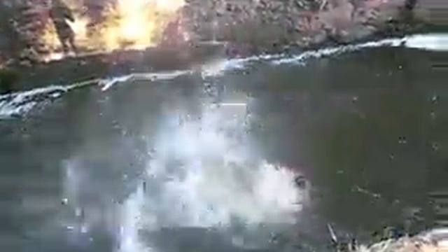 Bez nazvaniya 240 смотреть онлайн