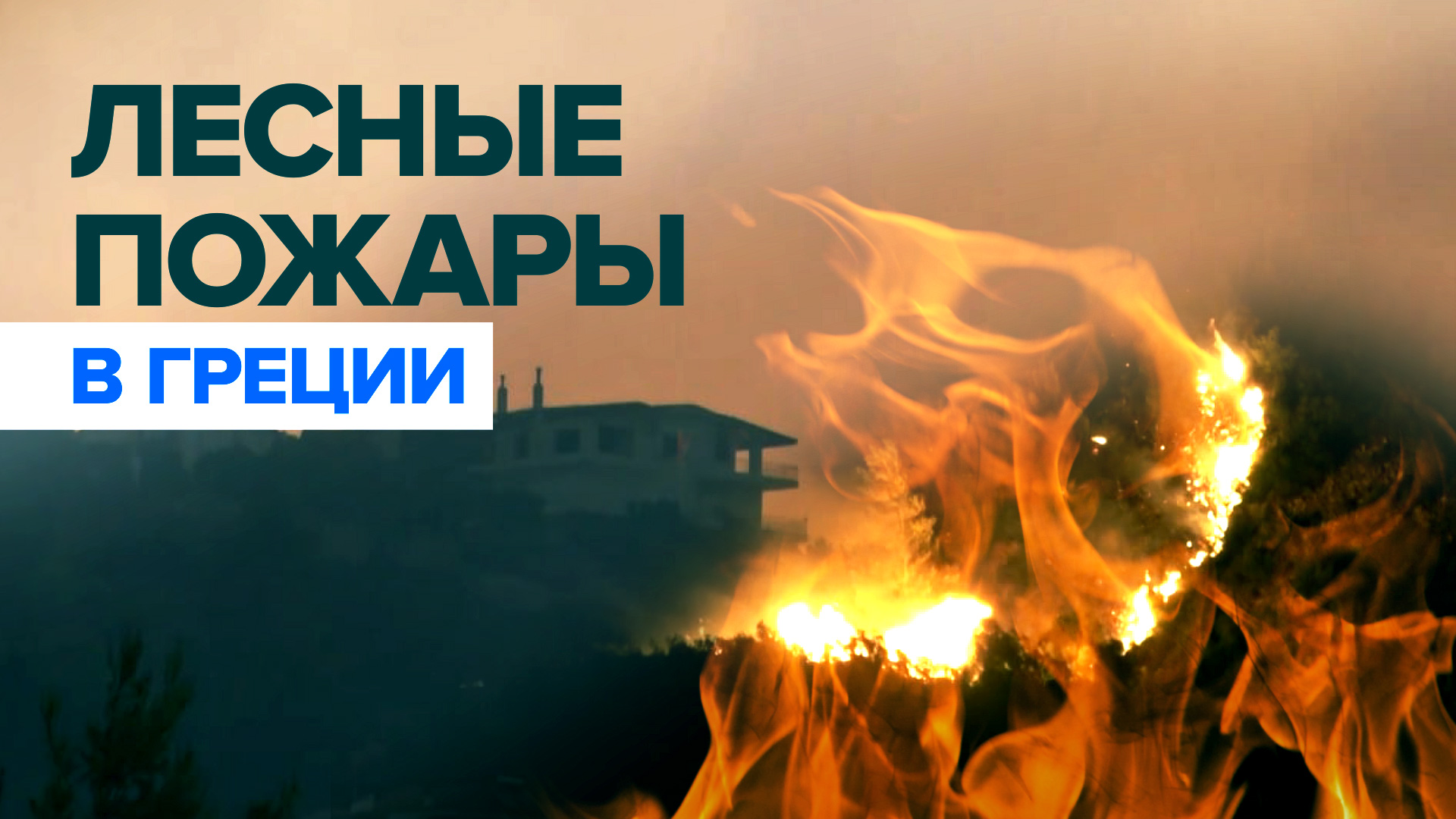 В пригороде Афин объявлена эвакуация из-за лесных пожаров — видео
