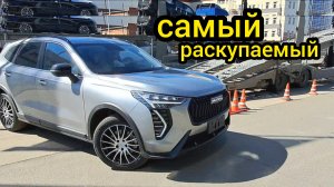 Люди требуют от Haval увеличить поставки. Автомобили скупают автовозами