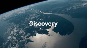 DISCOVERY CHANNEL : КРУГЛОСУТОЧНЫЙ ПРЯМОЙ ЭФИР | Discovery channel 24/7 LIVE STREAMING