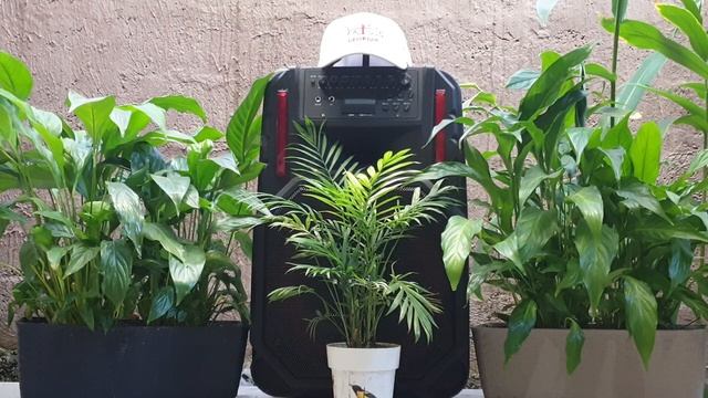 Ученики Христа 02 смотреть онлайн