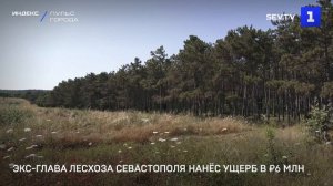 Экс-глава лесхоза Севастополя нанёс ущерб в ₽6 млн