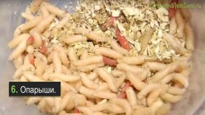 Разведение насекомых – 10 вариантов выращивания на продажу