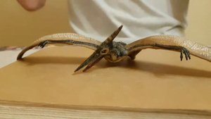 Обзор фигурки птеранодона (Papo, 2006)