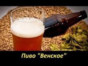 Пиво "Венское". Отличное пиво для начинающих пивоваров! Как легко сварить пиво дома!