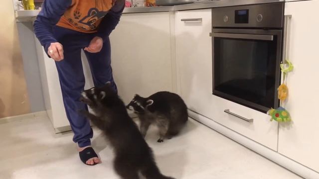 Фуджи и первые команды ?? смотреть онлайн