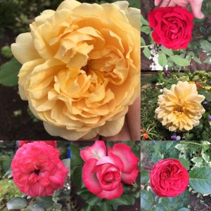 Из зимы в лето.