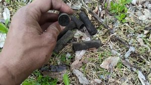 Поиск монет с металлоискателем Quest Q20