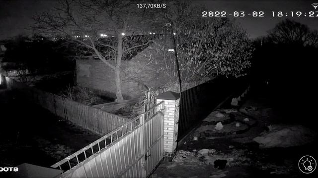 Харьков 2 марта твориться что попало, Сумы тоже страшно, ночь кто то подъехал смотреть онлайн