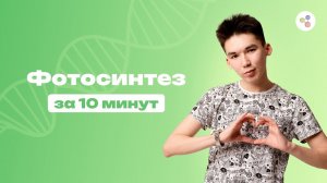 Фотосинтез за 10 минут | Биология | ЕГЭ-2024
