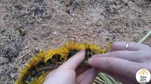 Как плести ВЕНОК ИЗ ОДУВАНЧИКОВ /Венок из цветов / Wreath of flowers