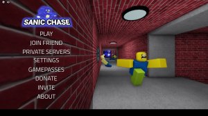 Roblox саник чейз