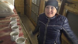 как наше хозяйство зимой