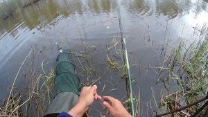 Лещ пошел ))) Рыбалка на поплавок, на Волге.