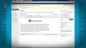 Создание, редактирование и вывод страницы wordpress