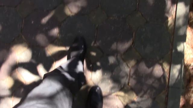 03_09_2017_сан.ОРДЖОНИКИДЗЕ_СОЧИ.mp4 смотреть онлайн