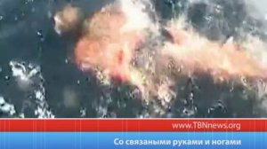 Со связанными руками и ногами