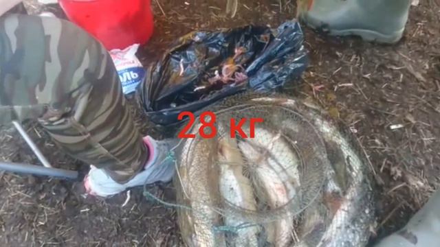 Весеннея рыбалка и охота 2021 год смотреть онлайн