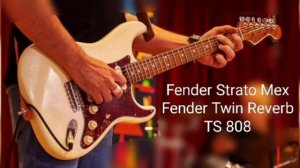 Headrush MX5 + Fender Stratocaster (Blues mood)