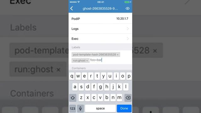 Demo of Kubernetes Cabin, Mobile App for Kubernetes смотреть онлайн